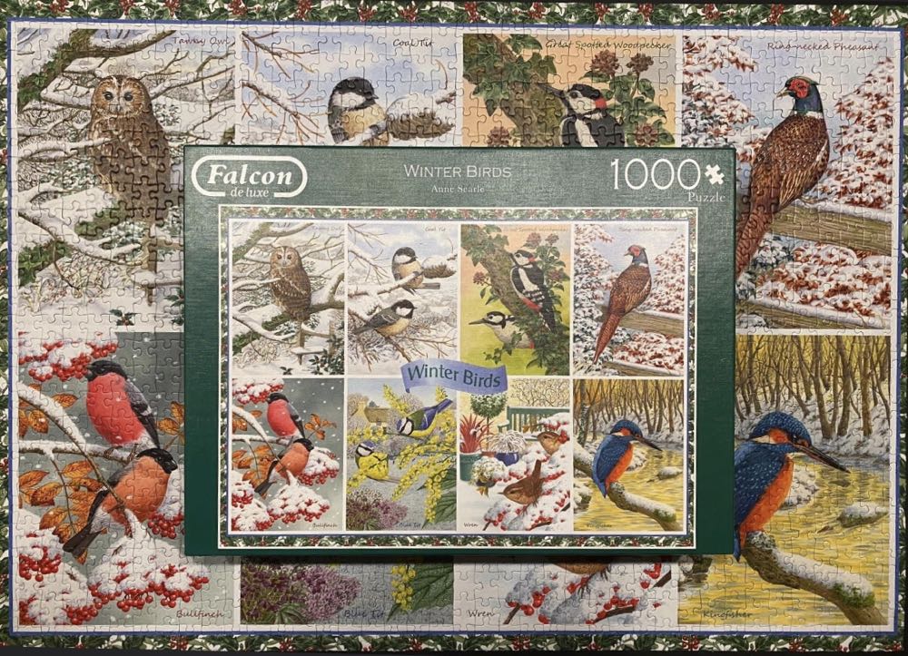 Winter Birds 🐦 - Falcon de luxe puzzle collectible [Barcode 8710126112342] - Main Image 4