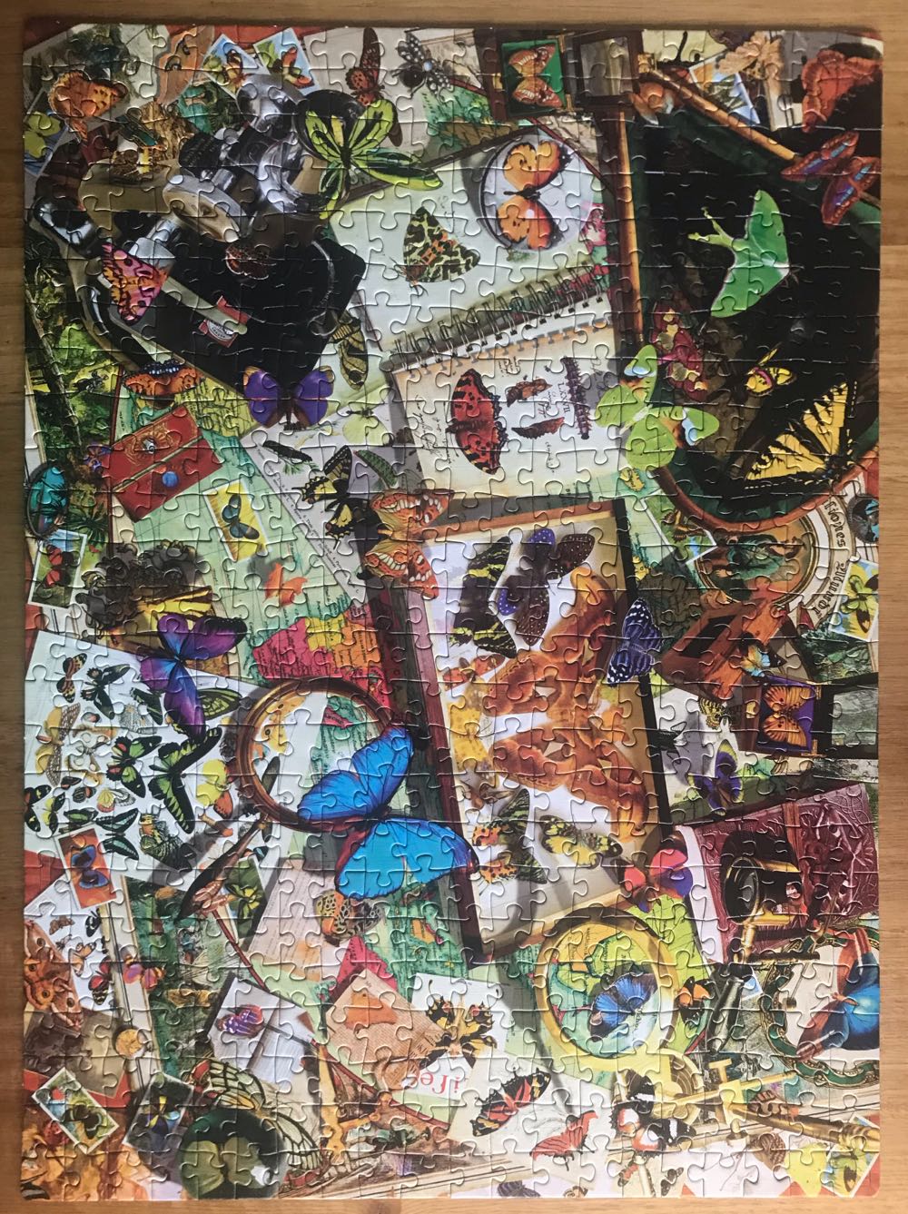 The Butterfly Collector - Clementoni puzzle collectible [Barcode 8005125351251] - Main Image 2