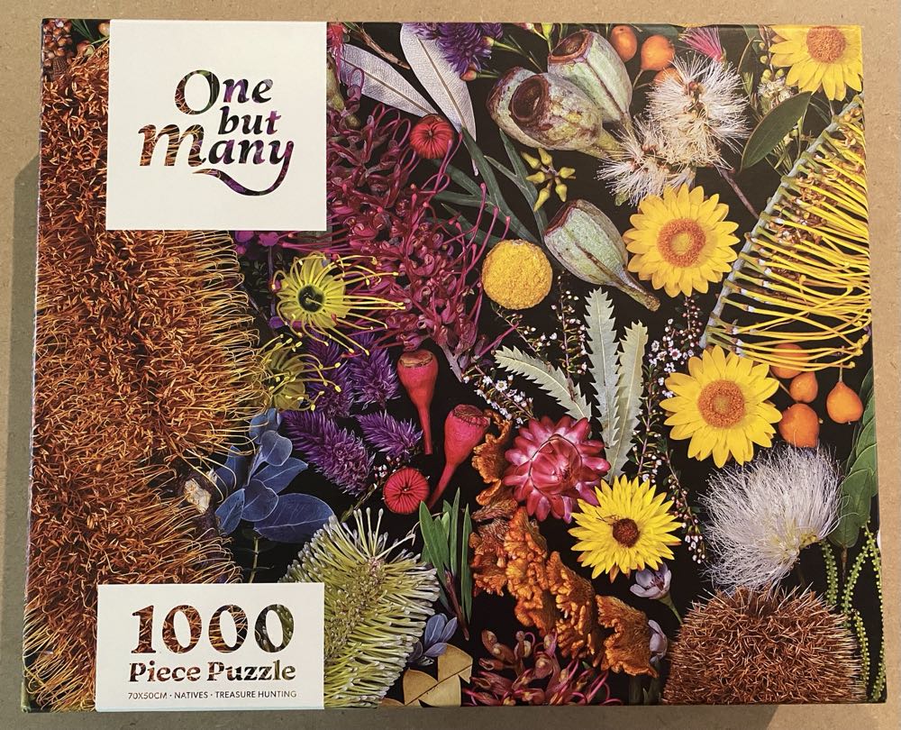 Virtual Reality ROME Coloseum