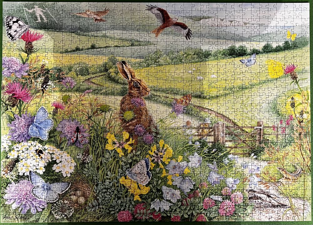 The South Downs - Ravensburger puzzle collectible [Barcode 4005556151769] - Main Image 2