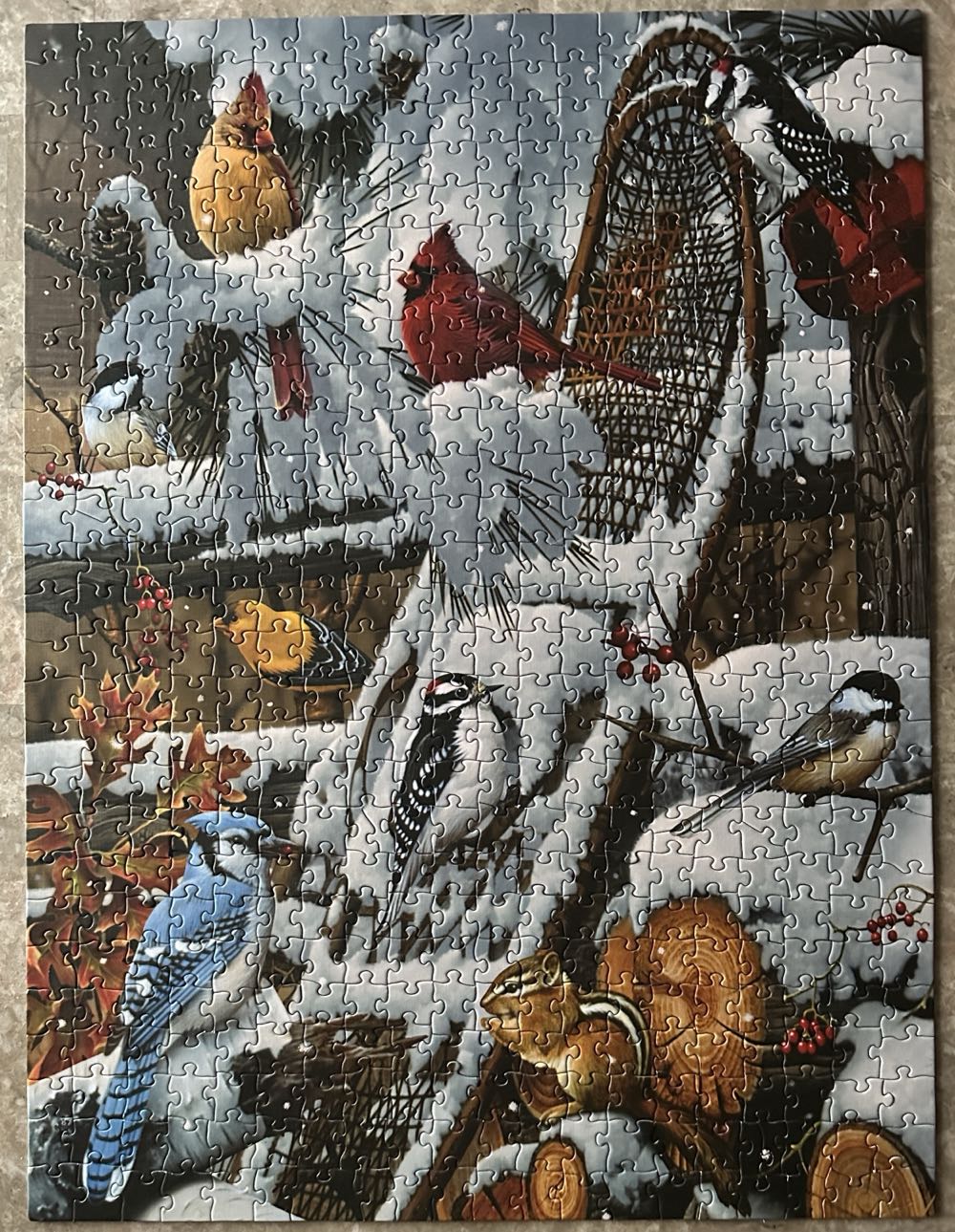 Wings Of Winter - Puzzle Twist Something’s Amiss🚫 puzzle collectible [Barcode 614399101103] - Main Image 3