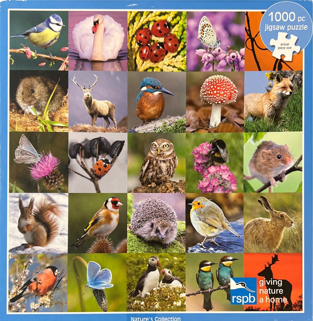 Gumperts Amazing Flying Machine