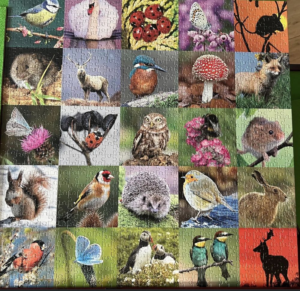 Natures Collection - Otter House puzzle collectible [Barcode 6655987070542] - Main Image 2