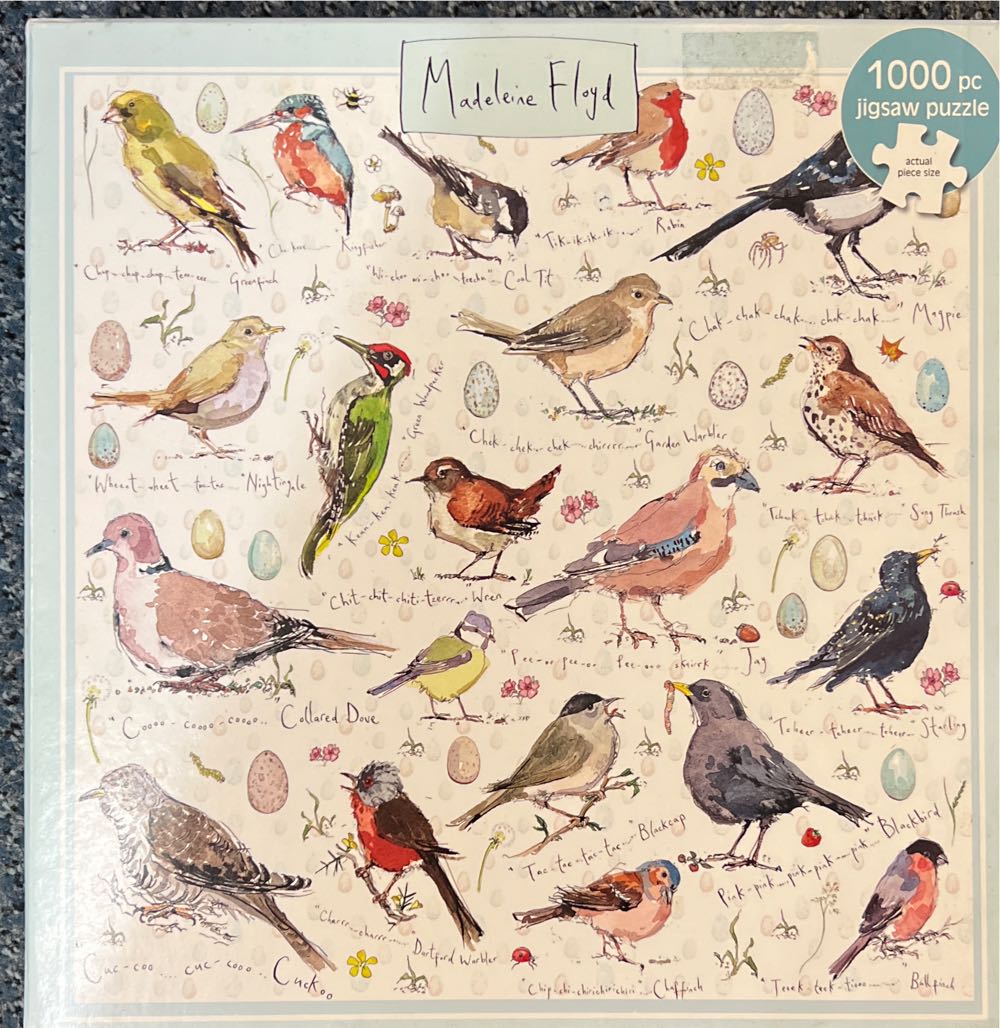 Northern Cardinal II