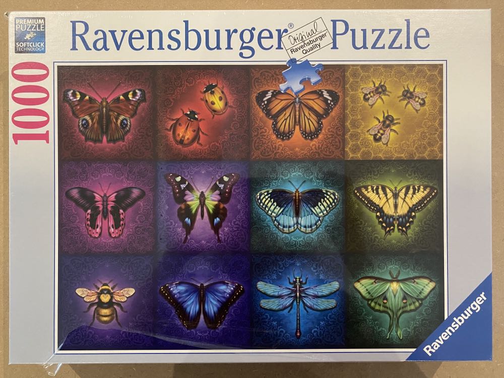 A Still Life Of Flowers