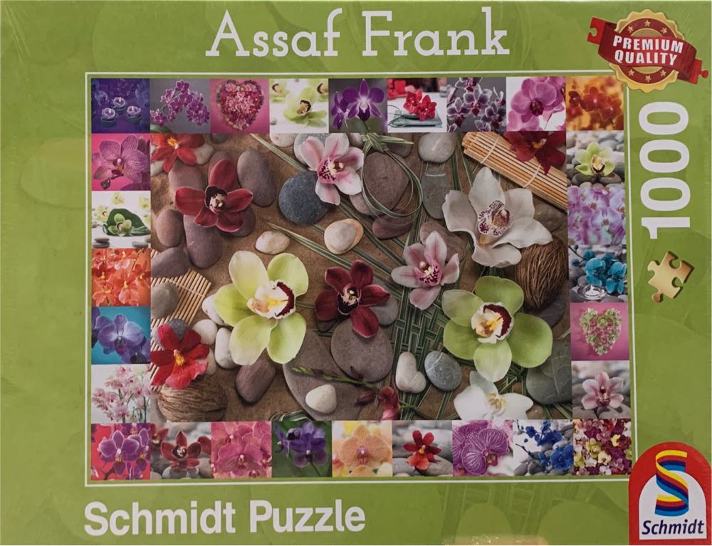 Kittens In The Kitchen