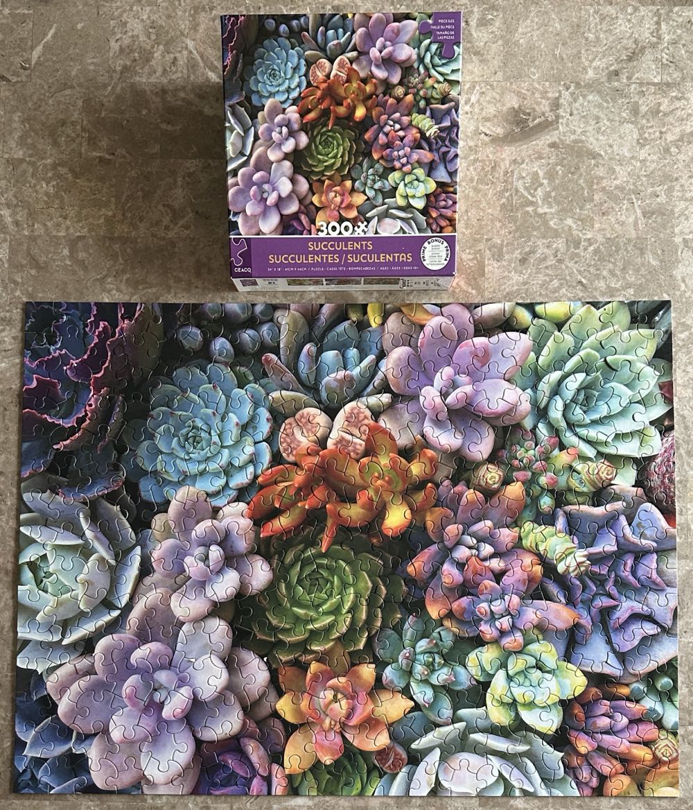 Succulents - Ceaco 300 puzzle collectible [Barcode 021081222785] - Main Image 2