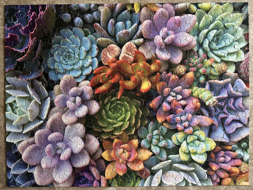 Succulents - Ceaco 300 puzzle collectible [Barcode 021081222785] - Main Image 3