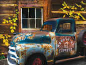 Children Decorating The Christmas Tree