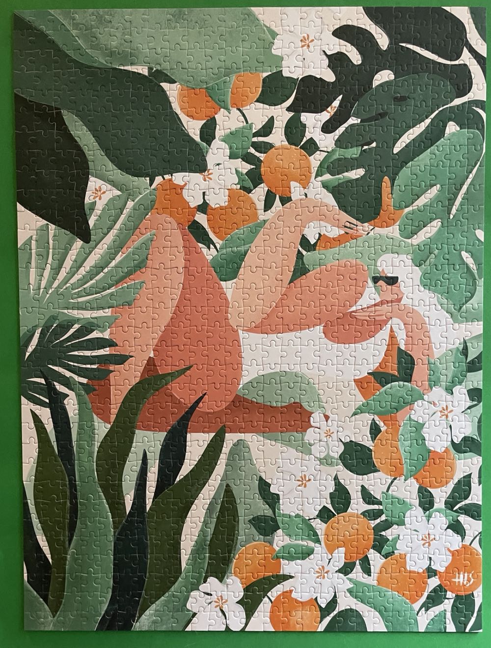 Santoro: The Collector