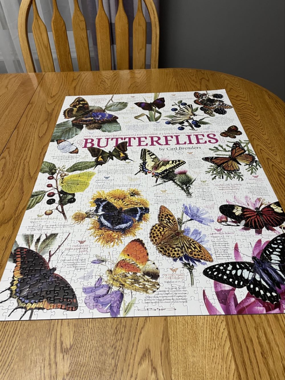 Butterfly Collection - Cobble Hill puzzle collectible [Barcode 625012800150] - Main Image 4