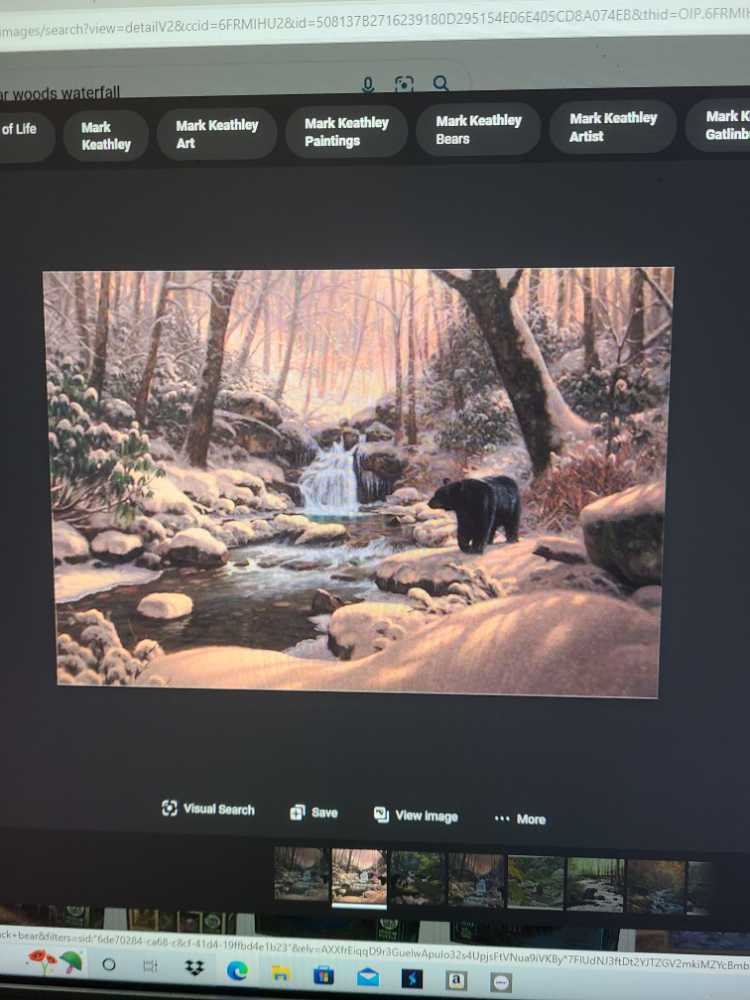 bear in woods - Cobble Hill 🇺🇸 puzzle collectible - Main Image 1