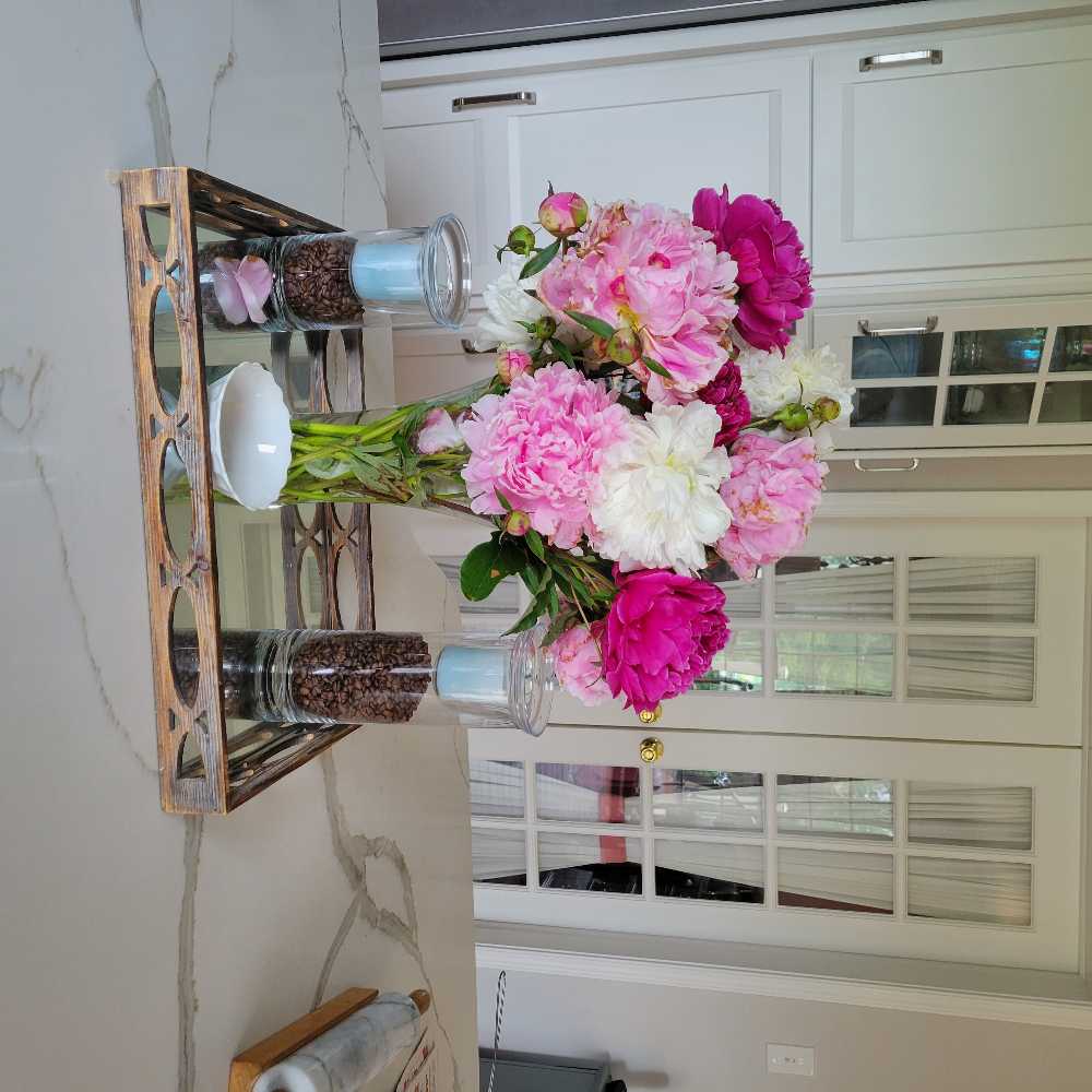 Rupaul’s Drag Race