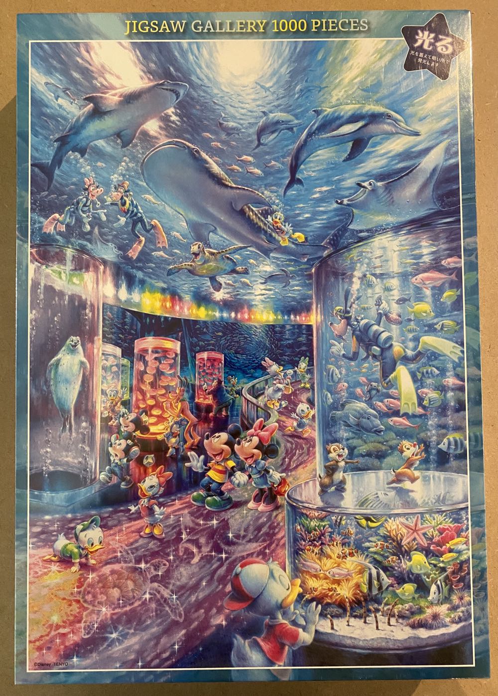 Kittens And Books. RECYCLED 