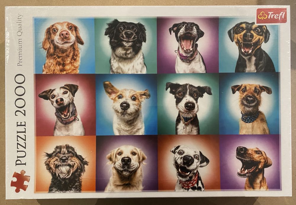 Critical Role Vox Machina