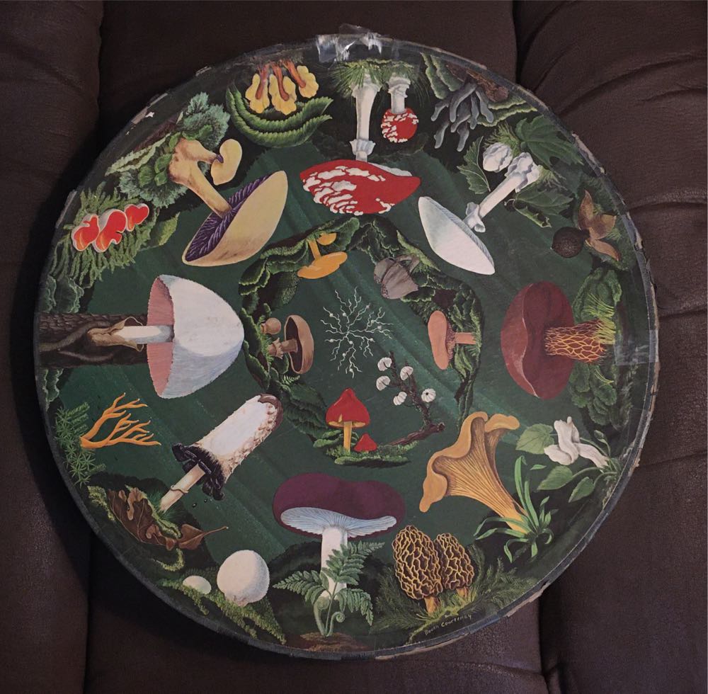 A Quiet Nap - From Nannie