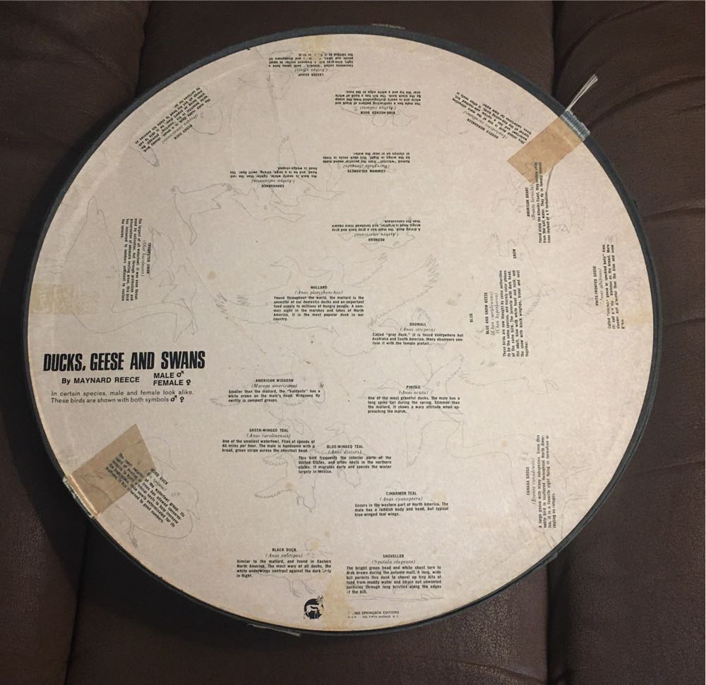 Ducks and Geese - Round - Springbok puzzle collectible - Main Image 2