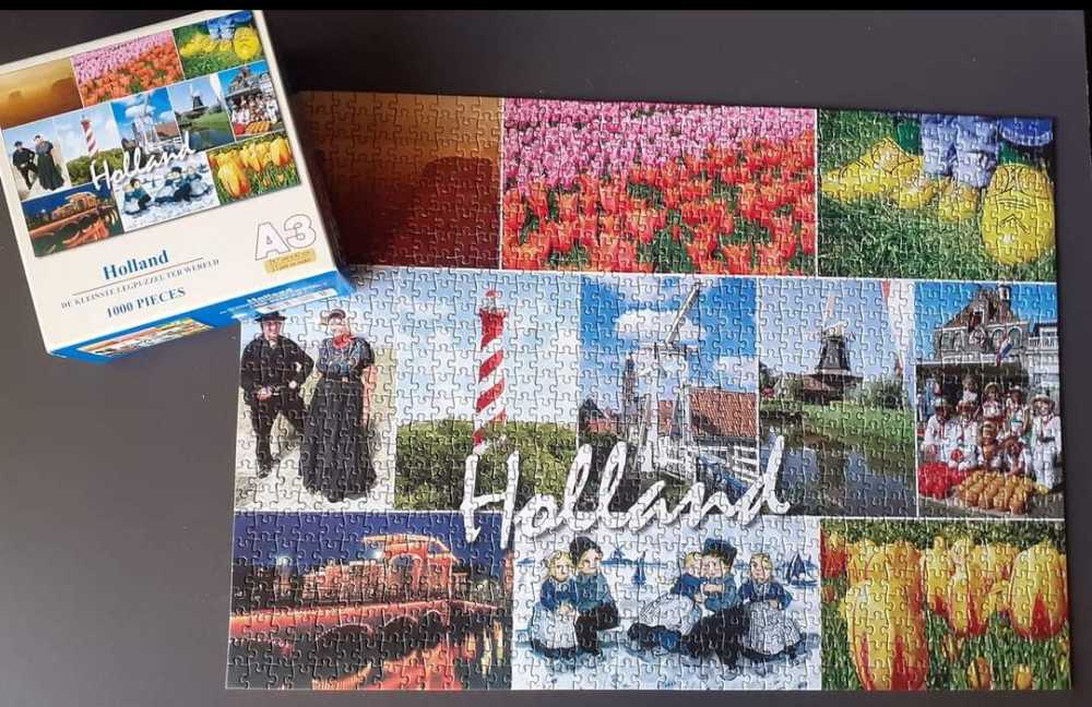 Kittens In The Library 