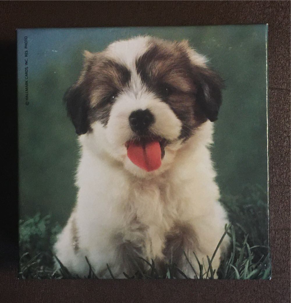 Deventer Geschiedenis Puzzel