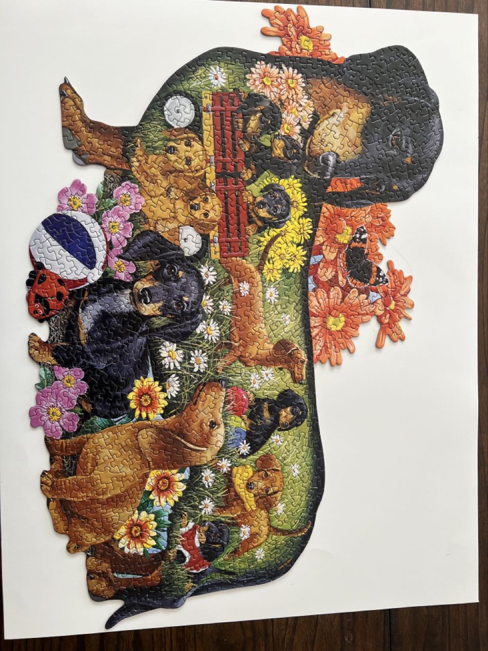 Delightful Dachshunds - Bits And Pieces puzzle collectible [Barcode 192949033062] - Main Image 2