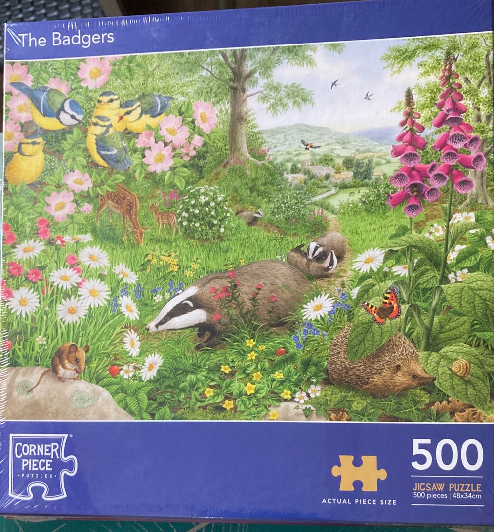 Rows Of Colorful Cowboy Boots