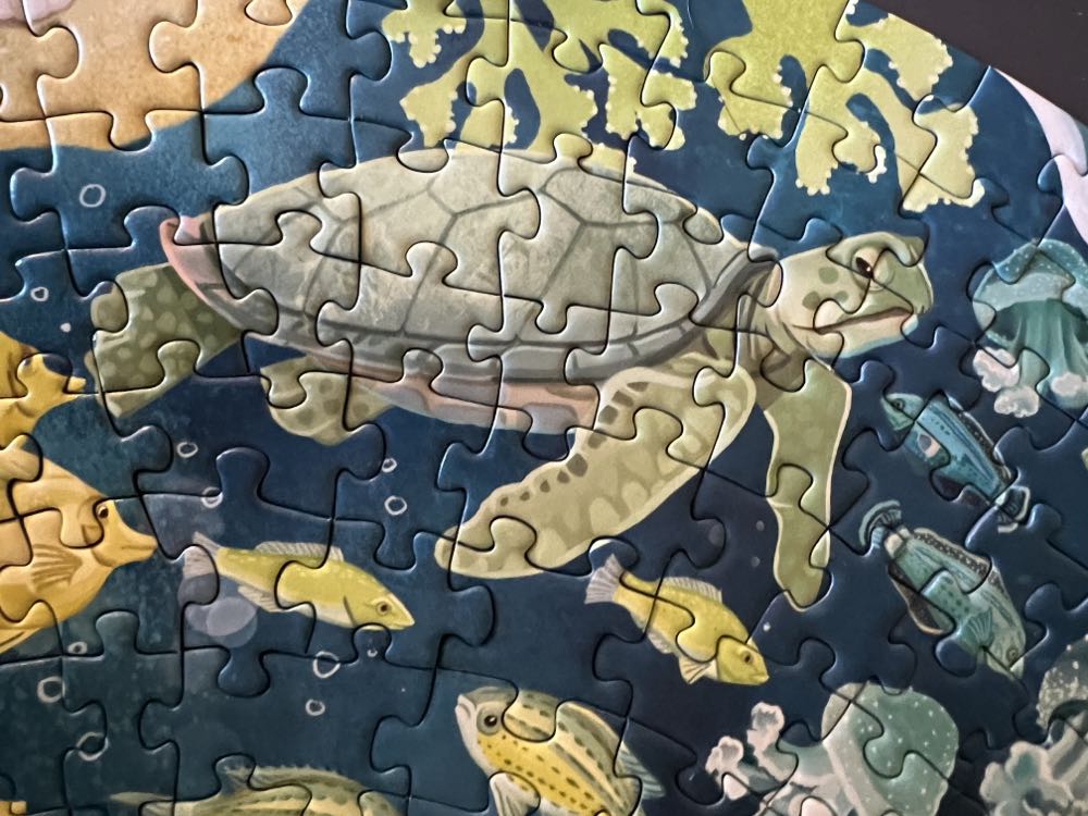 Circle Of Colors: Ocean * Keeper* - Ravensburger puzzle collectible [Barcode 4005556171705] - Main Image 3