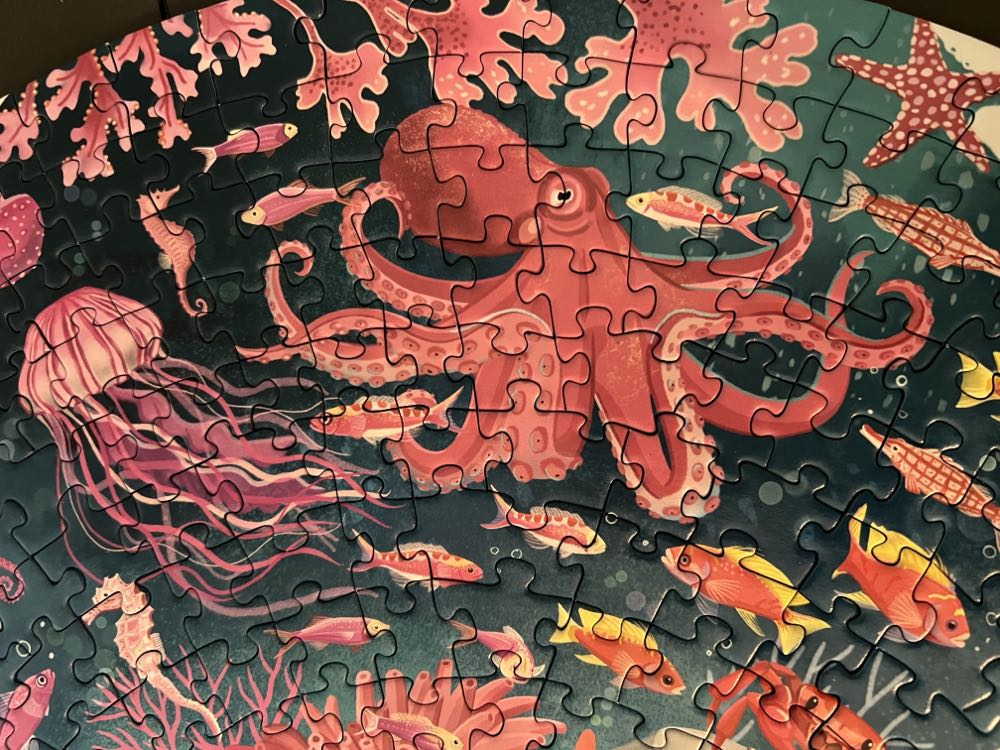 Circle Of Colors: Ocean * Keeper* - Ravensburger puzzle collectible [Barcode 4005556171705] - Main Image 4