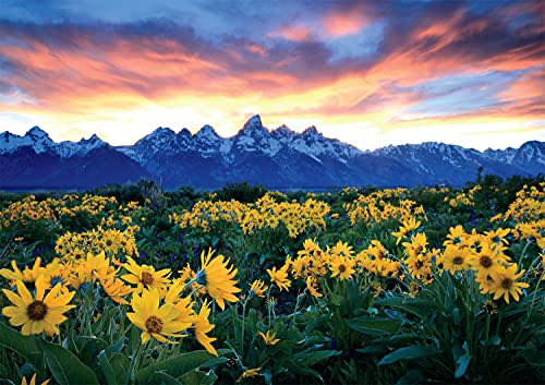 Hokusai: The Great Wave