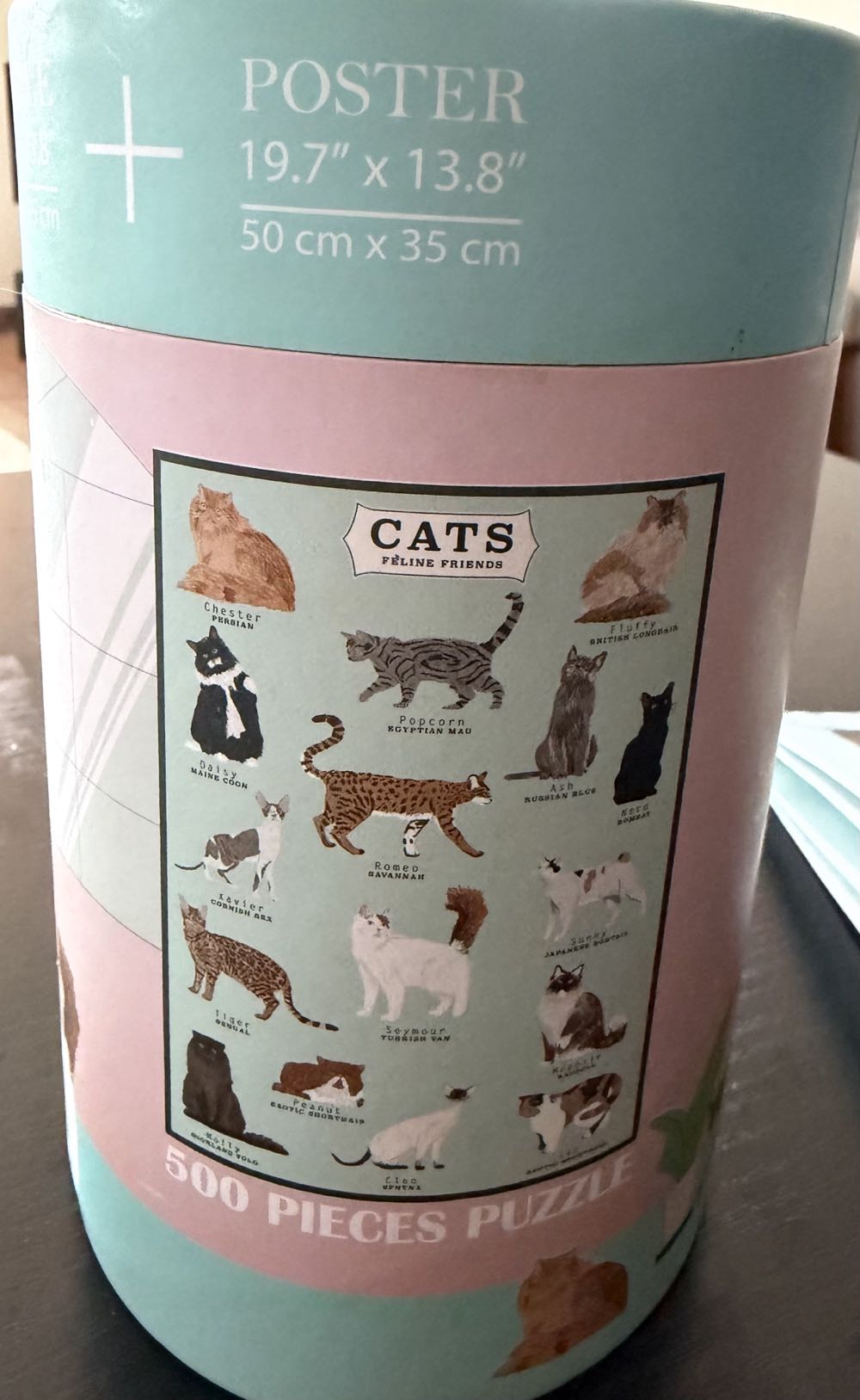 Cats Feline Friends - Modern Expressions puzzle collectible [Barcode 049022202511] - Main Image 2