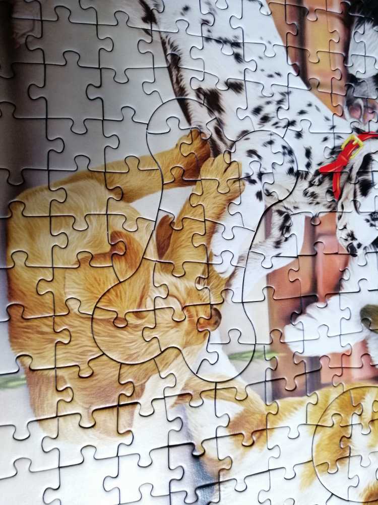 Dog Pranks  - Trefl puzzle collectible [Barcode 5900511106756] - Main Image 3