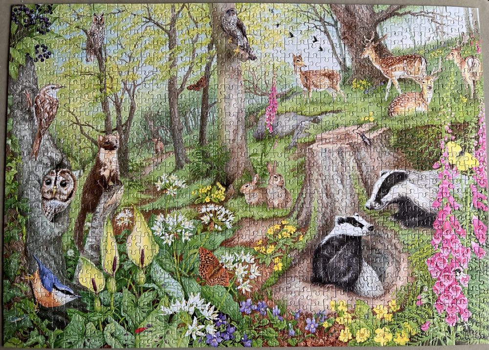 Woodland Wildlife - Falcon puzzle collectible [Barcode 8710126113226] - Main Image 2