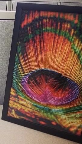 Peacock Feather - Mega Puzzles puzzle collectible [Barcode 072348514105] - Main Image 2