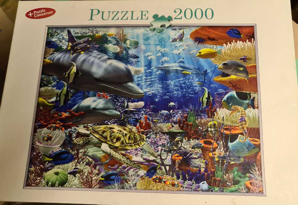 Carolina Beach Buckets