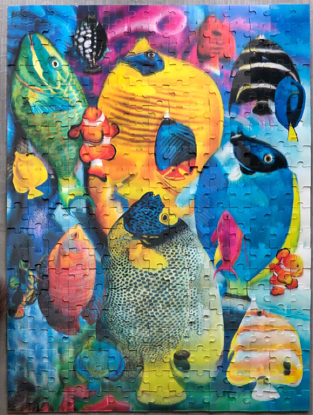 Fish School *T/S - Lafayette Puzzle Factory puzzle collectible - Main Image 2