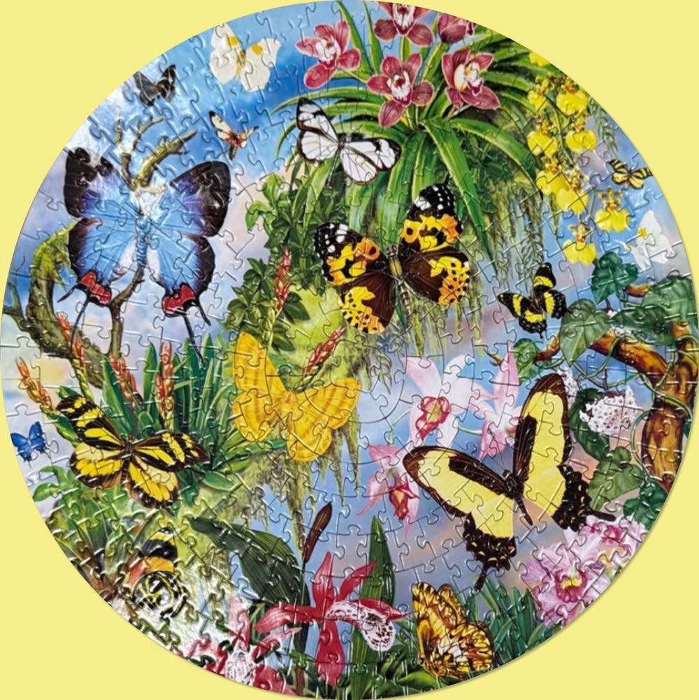 South American Butterflies - Bits And Pieces puzzle collectible [Barcode 704812405915] - Main Image 3