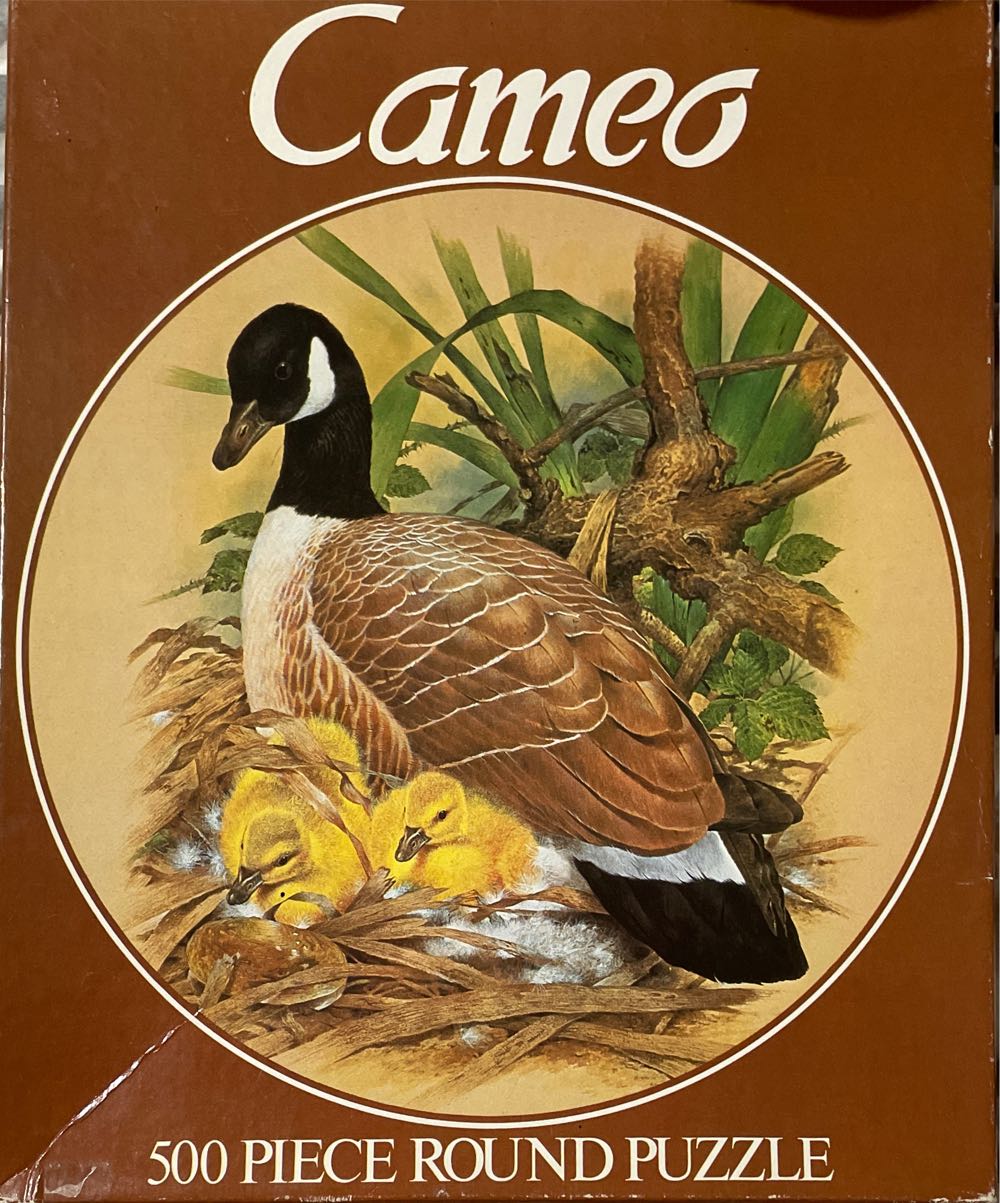 Cardinal Joseph Burgess ’’ Church