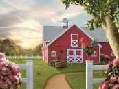 Country Morning Goldfinch%