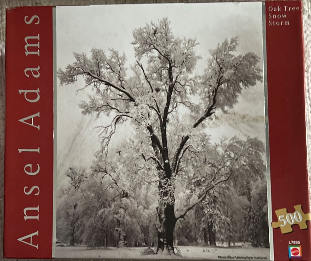 Cat, Birds, Flowers-SOLD