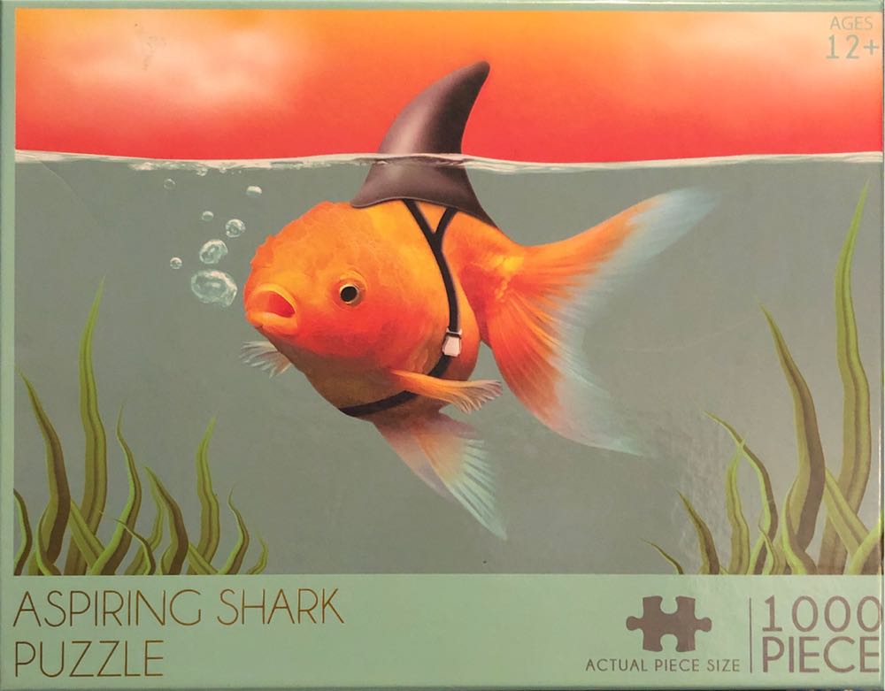 Elfstedentocht & Nieuwjaarsduik 