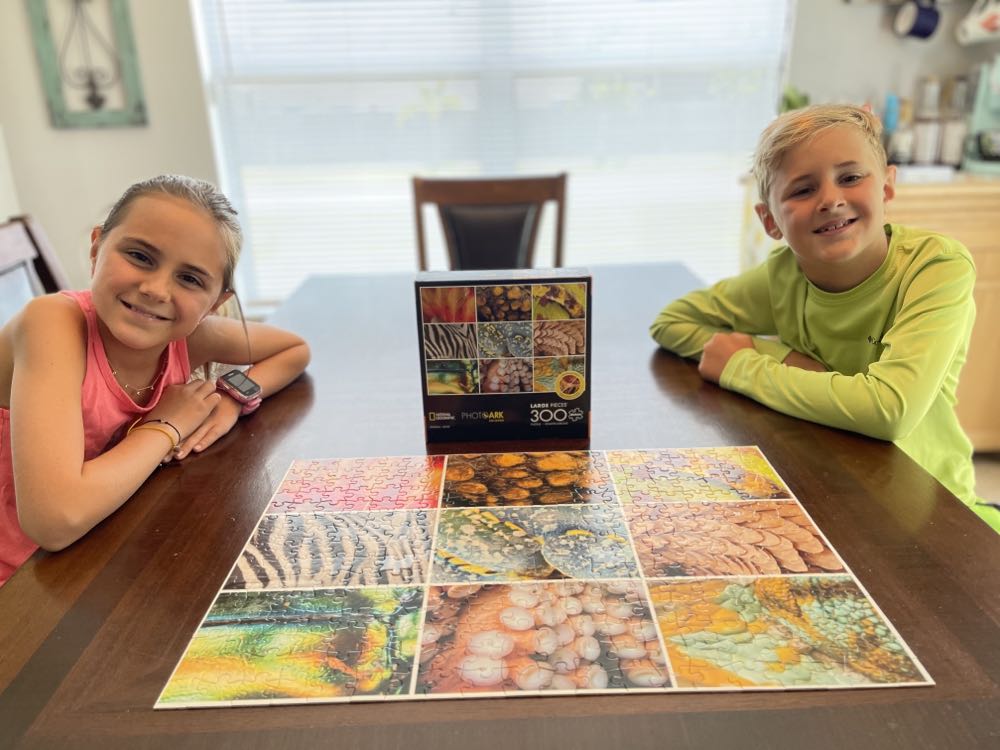 National Geographic Animal Grid - Buffalo puzzle collectible [Barcode 079346025862] - Main Image 2