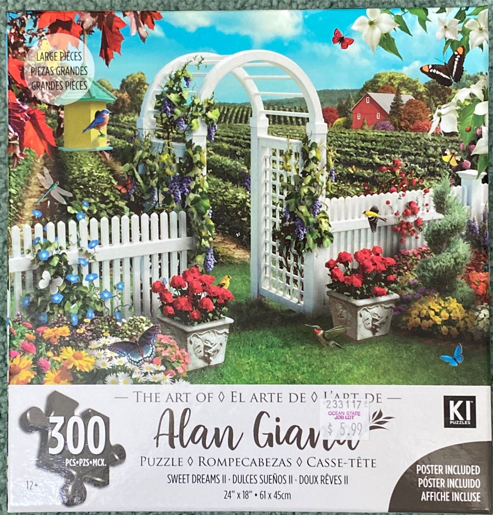 Starry Night Over The Rohne