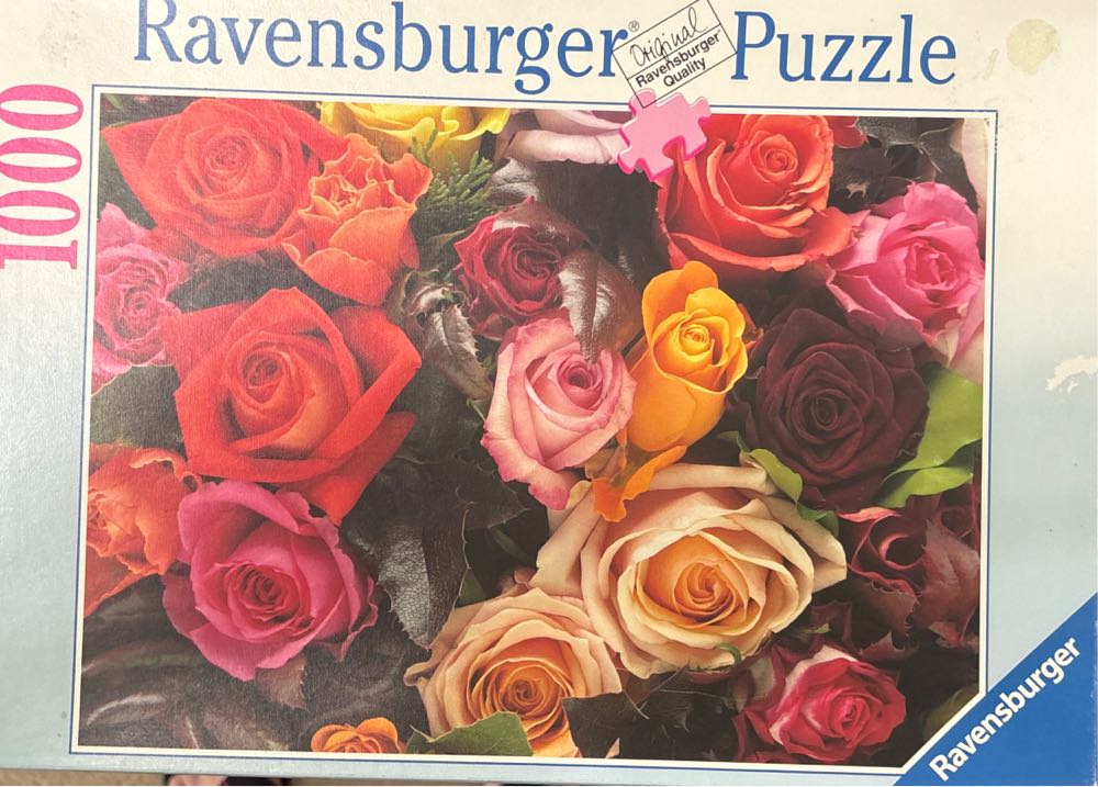 Disney Fine Art - Lion King