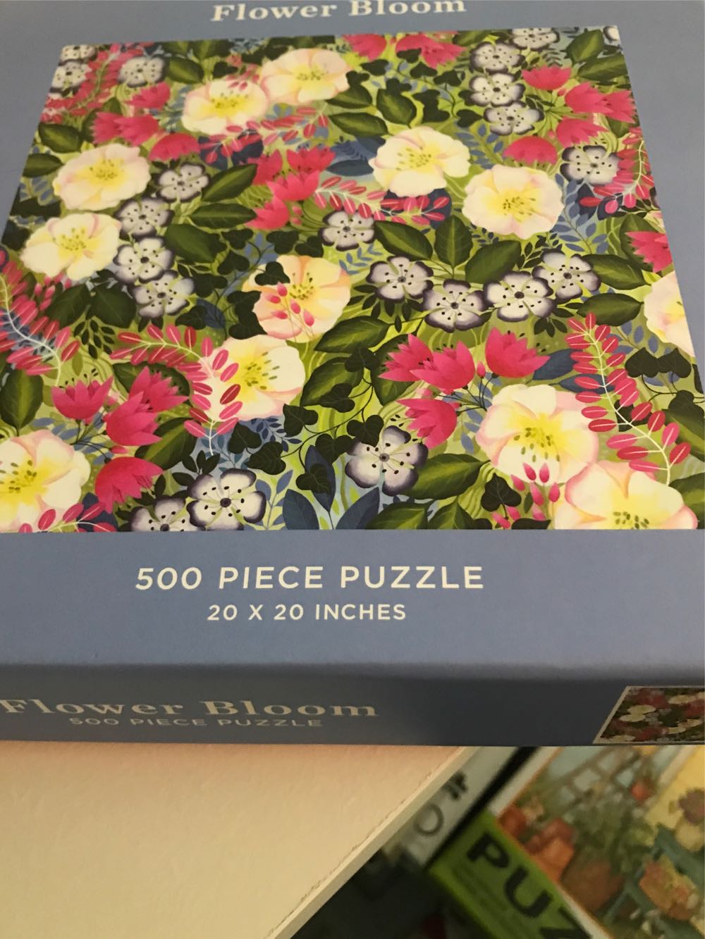 Tinker Bell & Friends