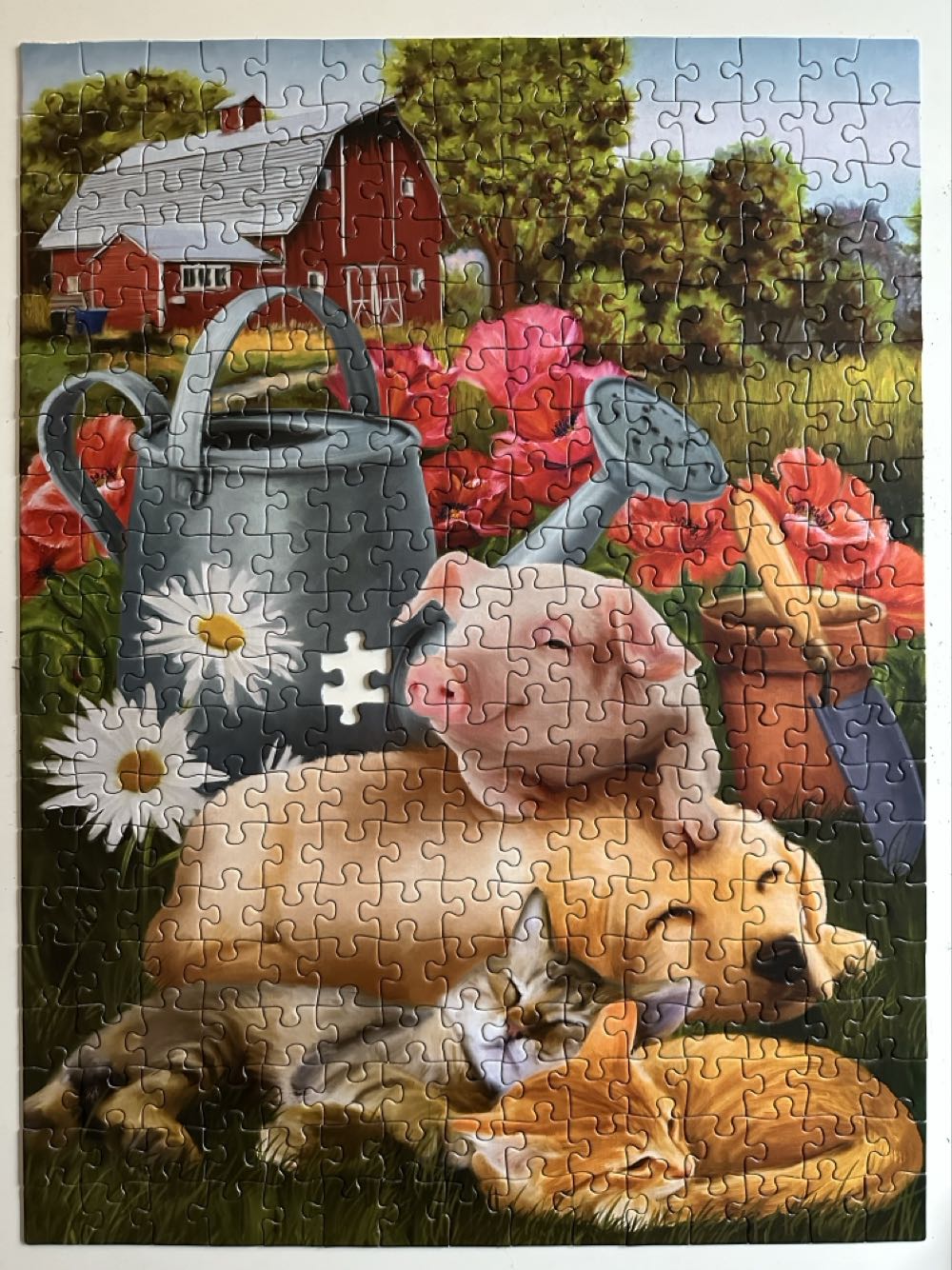 Lazy In The Sun - SunsOut puzzle collectible [Barcode 796780285491] - Main Image 3