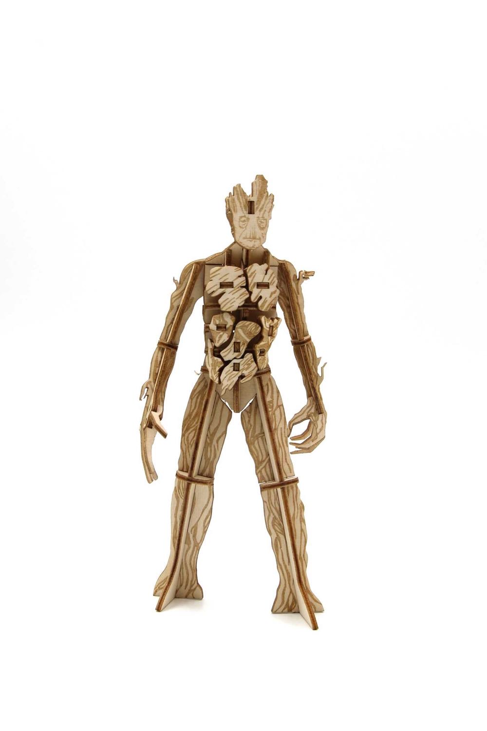 Elfstedentocht & Nieuwjaarsduik 