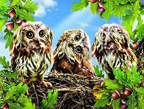 Cabin In The Woods - Nannie