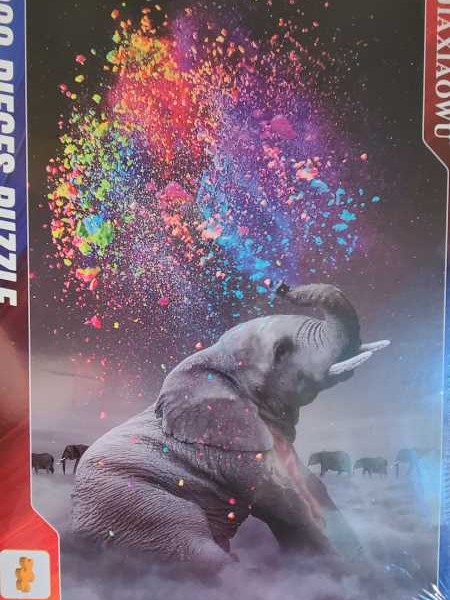 Ruskin On The Stairs 💎