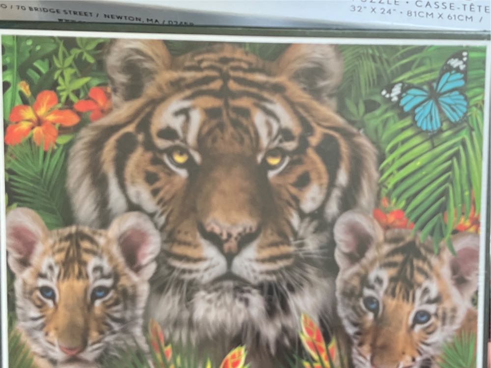 Z(done&gone) Street Vendor Morning