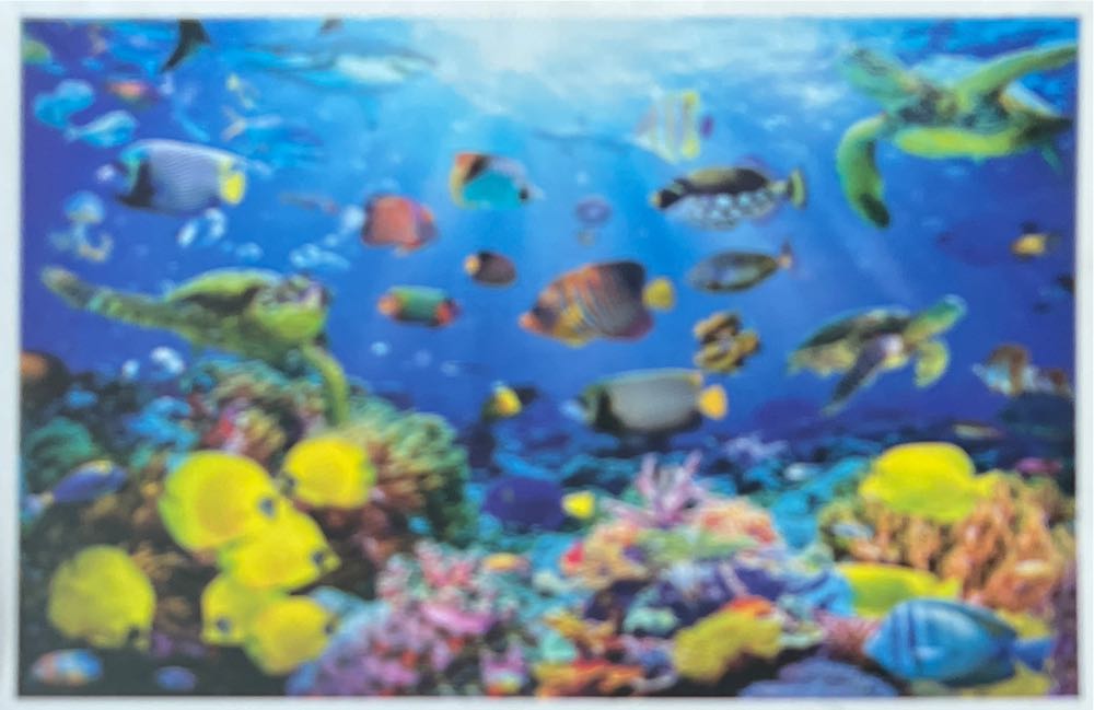 Tinker Bell & Friends