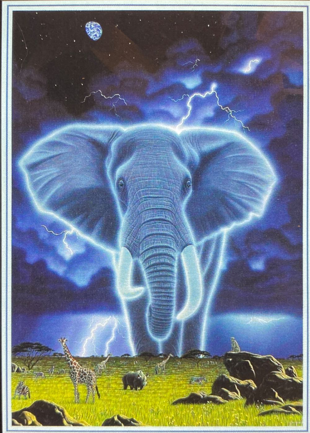 Schimmel: Africa’s Future